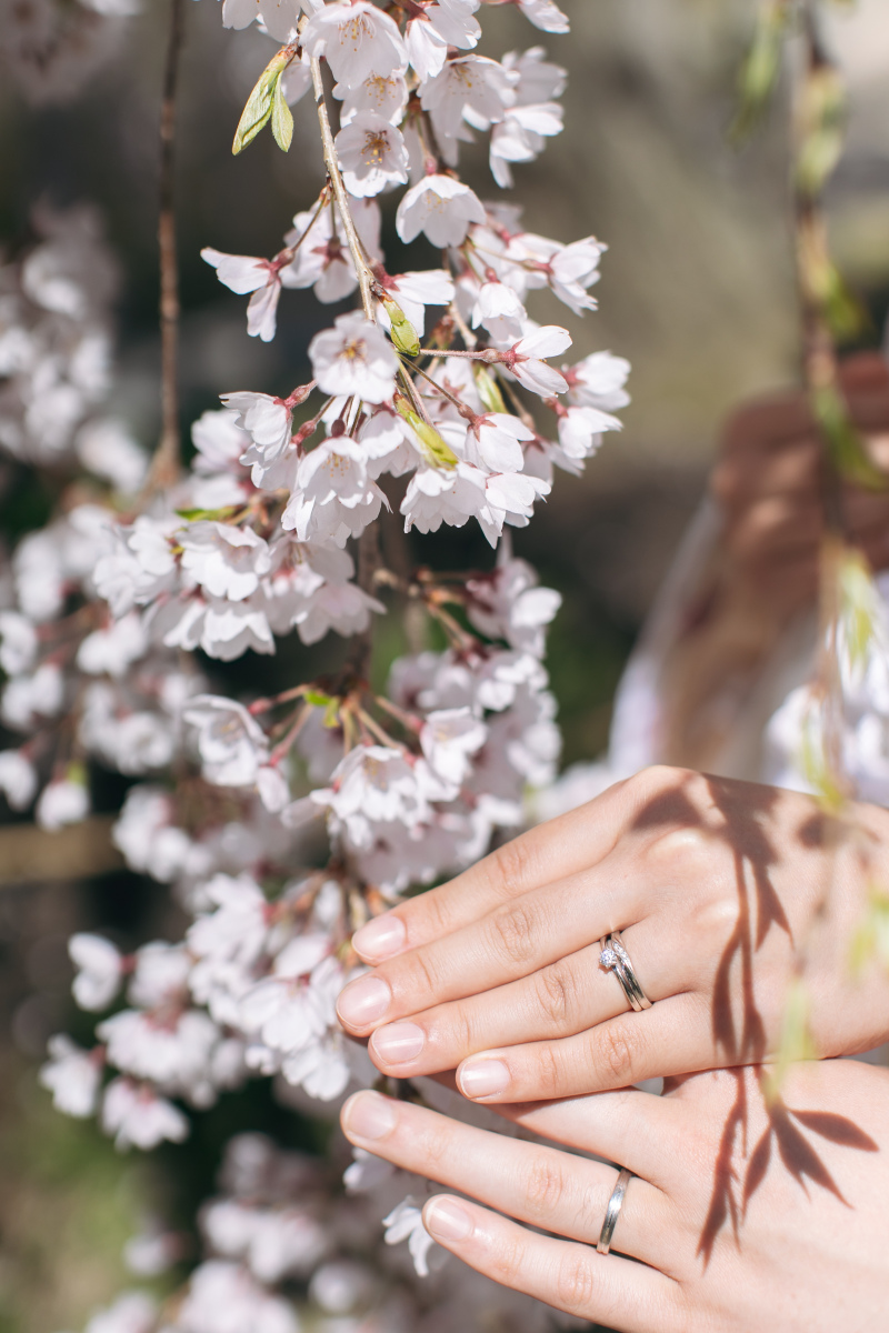 イメージカット!