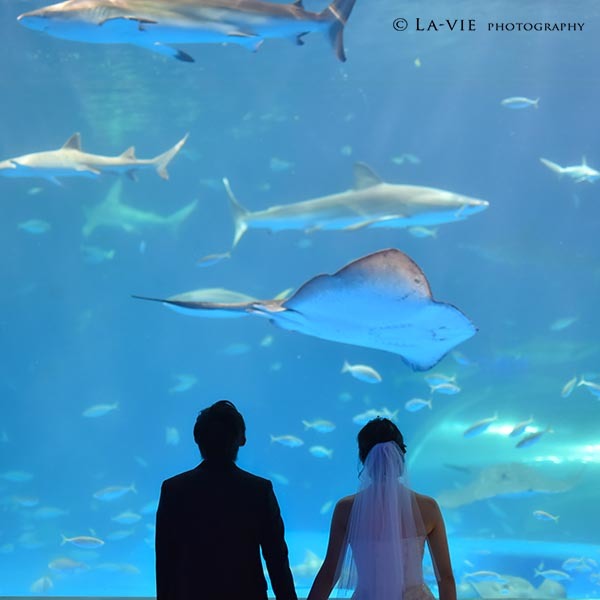 水族館