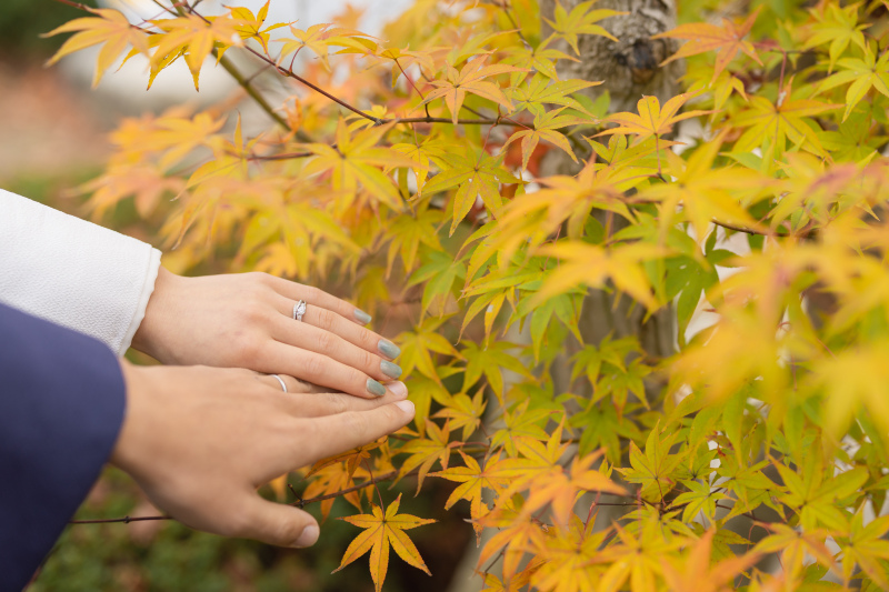 イメージカットも忘れずに!