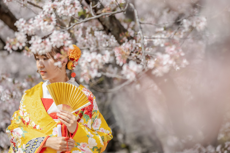 桜の影に隠れて