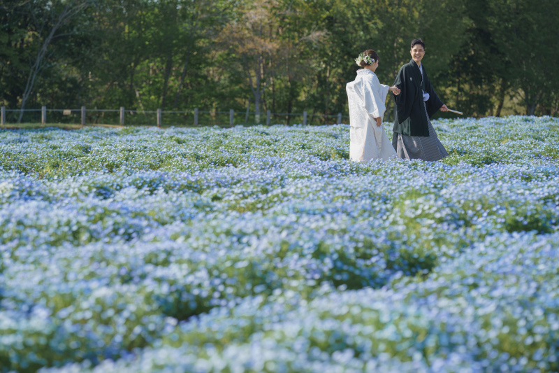 テクテクと・・・