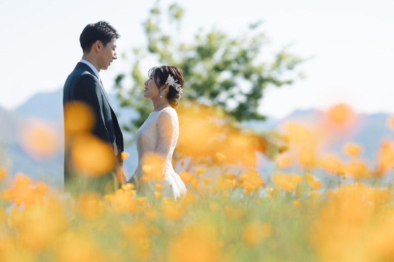 花畑いるみたい