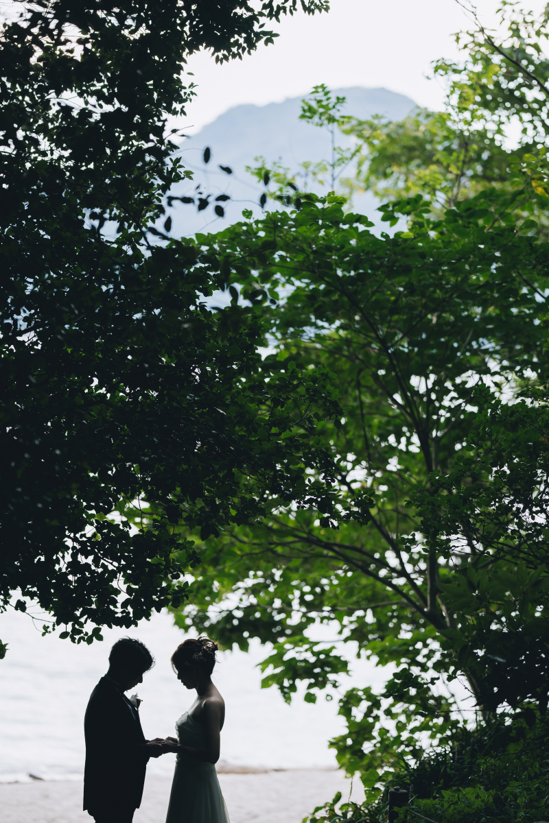 白昼のシルエット