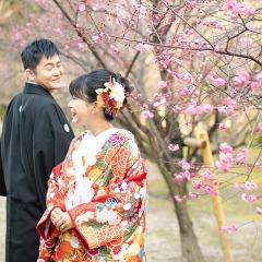 『 梅 』 始まりました