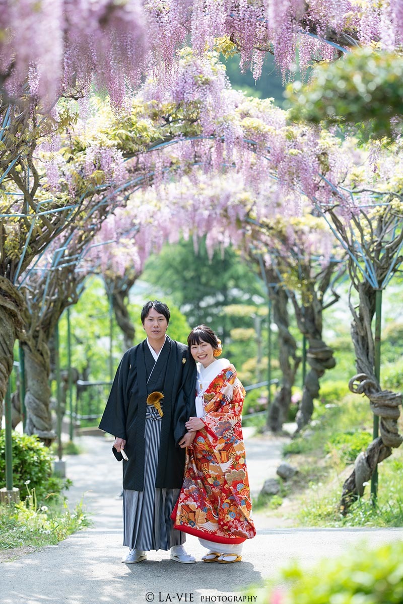 藤のシーズンでした♪