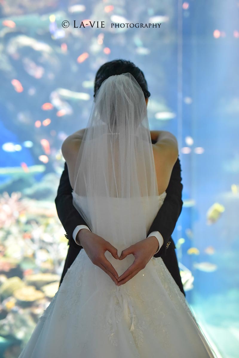 水族館×ウェディングドレス