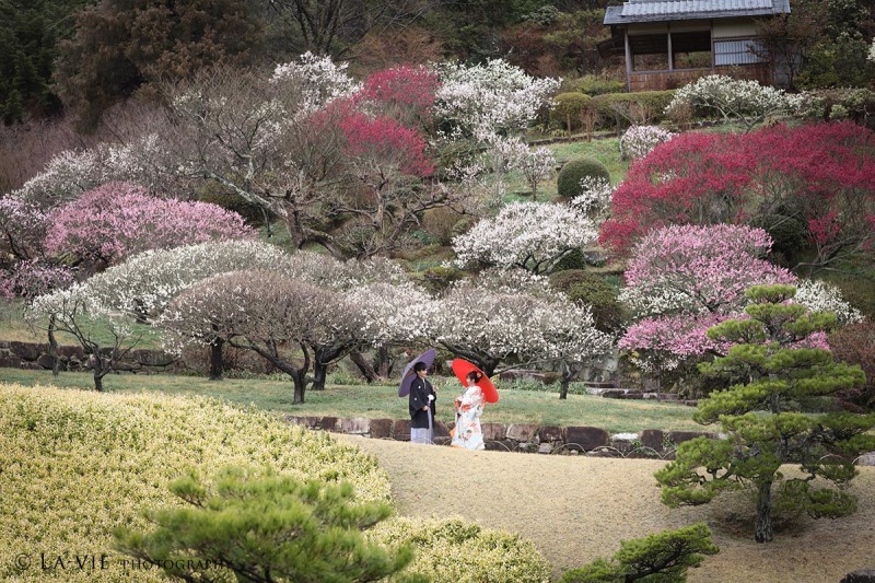 【三景園・和装ロケーションプラン】