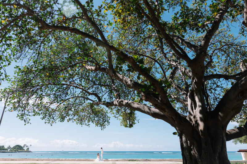 ハネムーンと一緒に♪