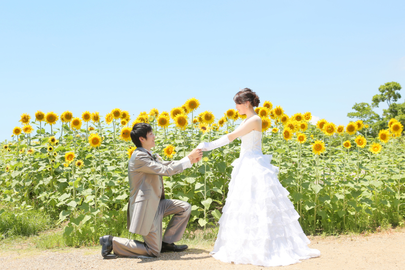 キイロとブルー