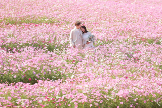 ガーデンパークからの海へ