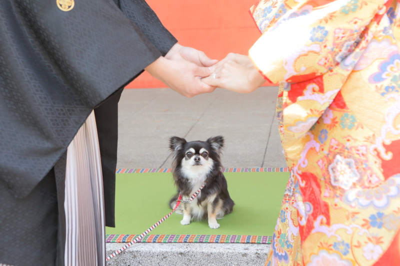 お二人の間から見ているのは・・・！