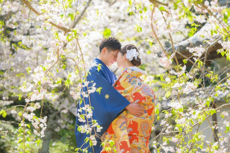 葉桜