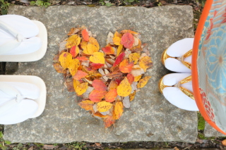 浜松城公園で紅葉ロケ♪
