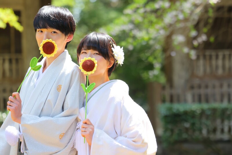 ひまわり