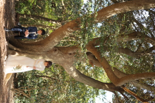 ゆったり森ロケ