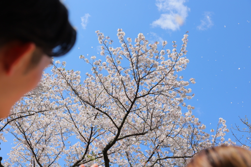 晴天