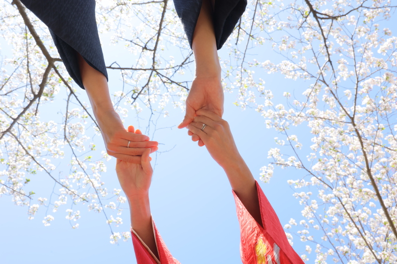 イメージカット