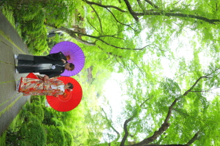 趣のある庭園でロケーション