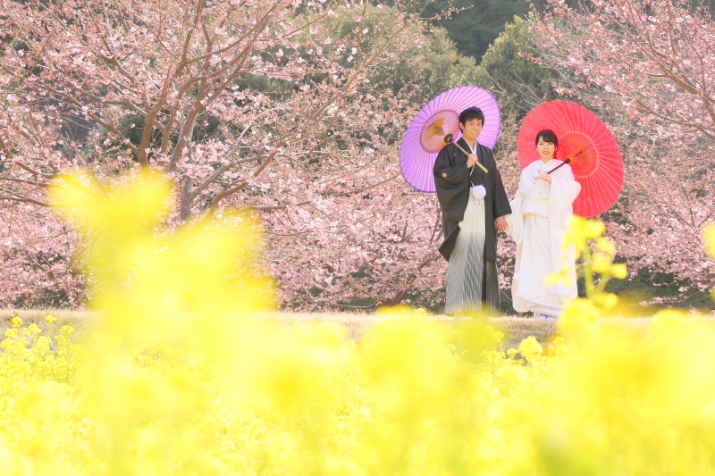 河津桜和装ロケ行ってきましたよー