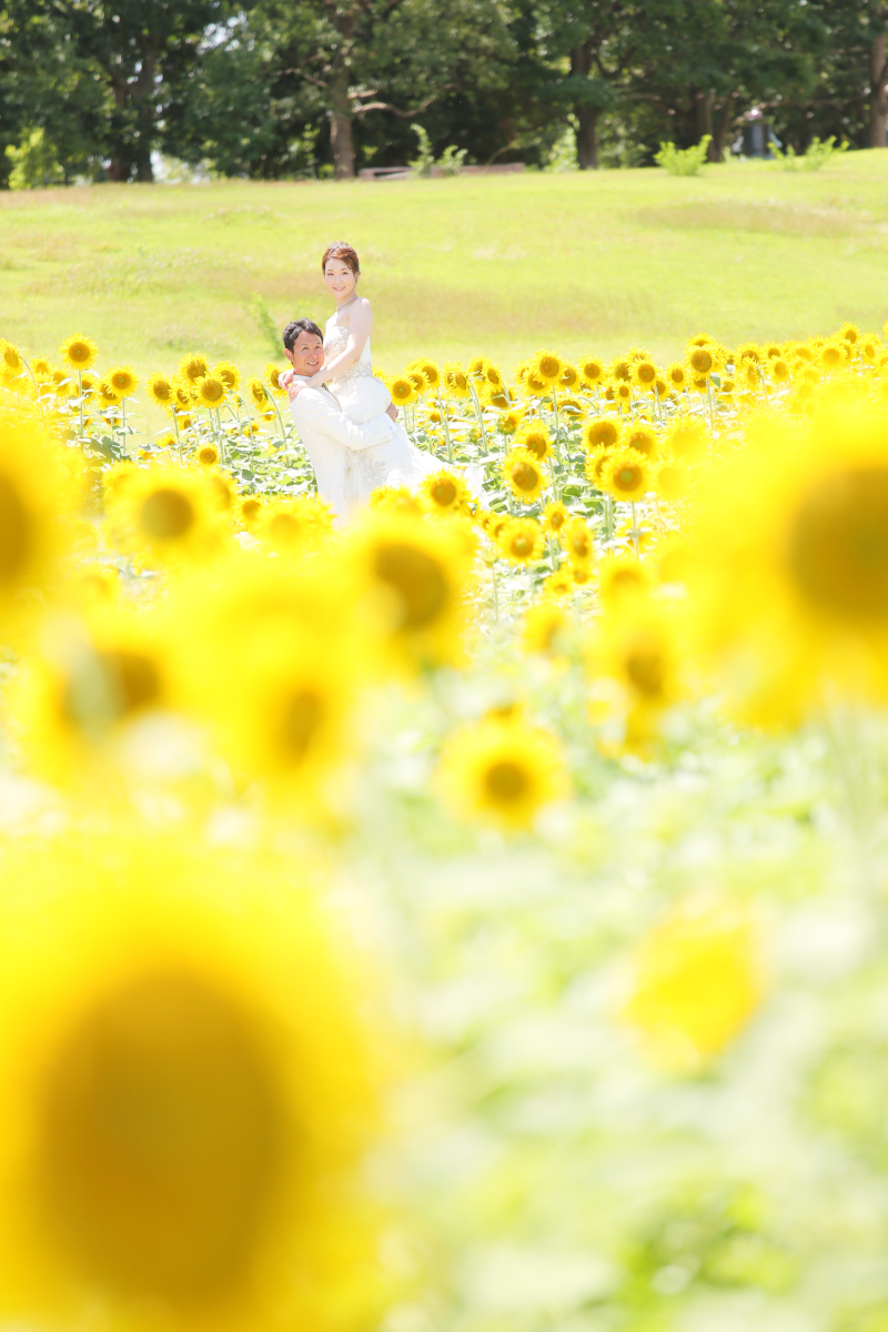 やったー！！ひまわり咲いてたー