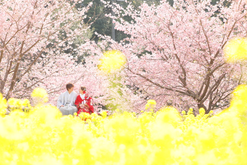 静岡県浜松市でとっても有名なおまつり