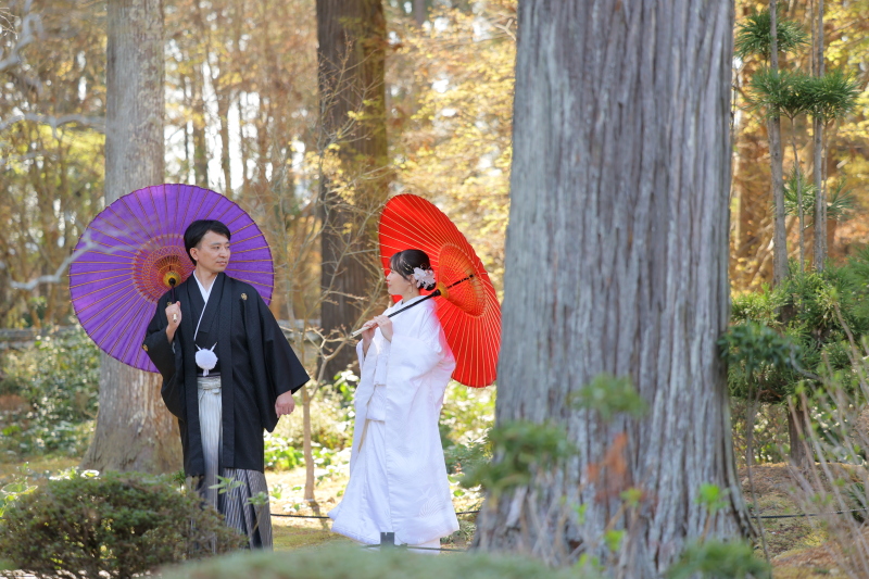 和装2着 龍潭寺＆スタジオ撮影