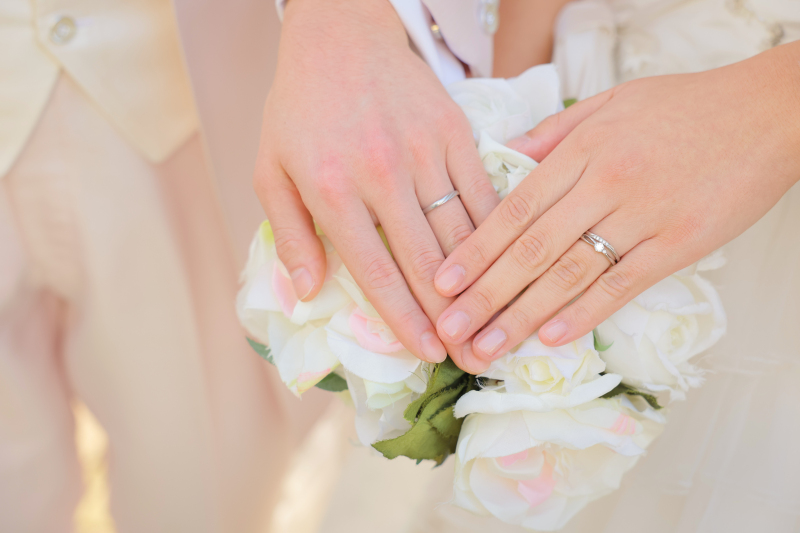 館内フルコースプラン