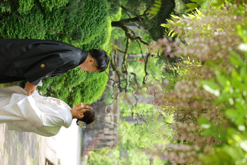 藤の花