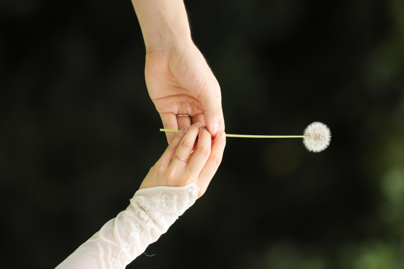 手元すら美しく。