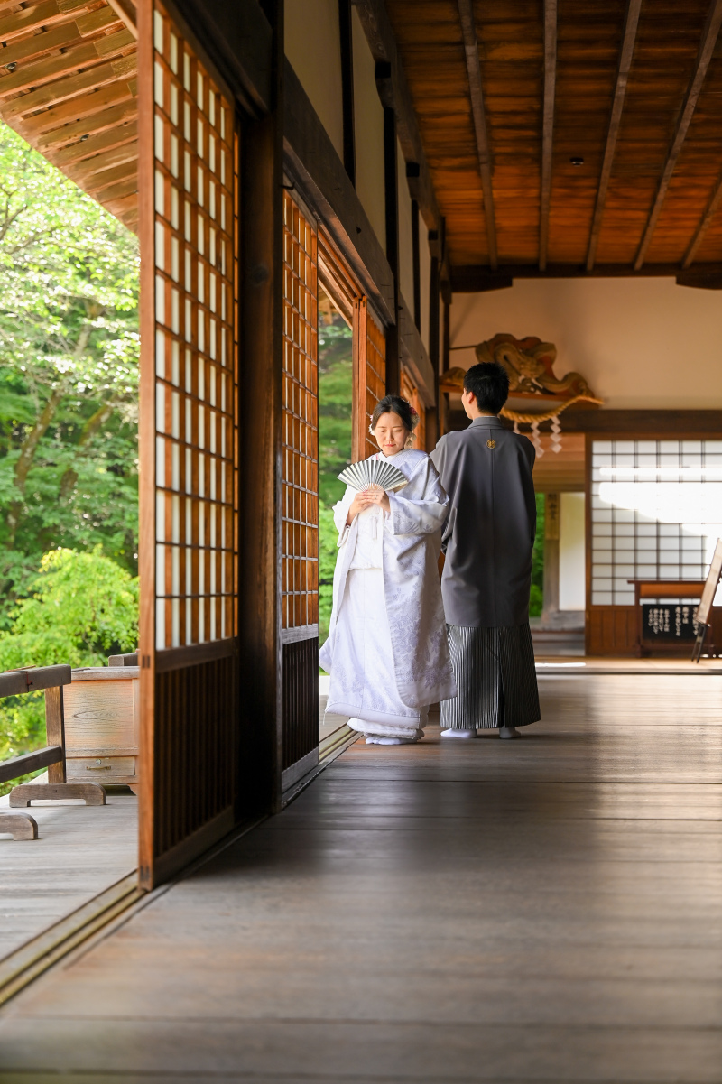 新鮮なポージング