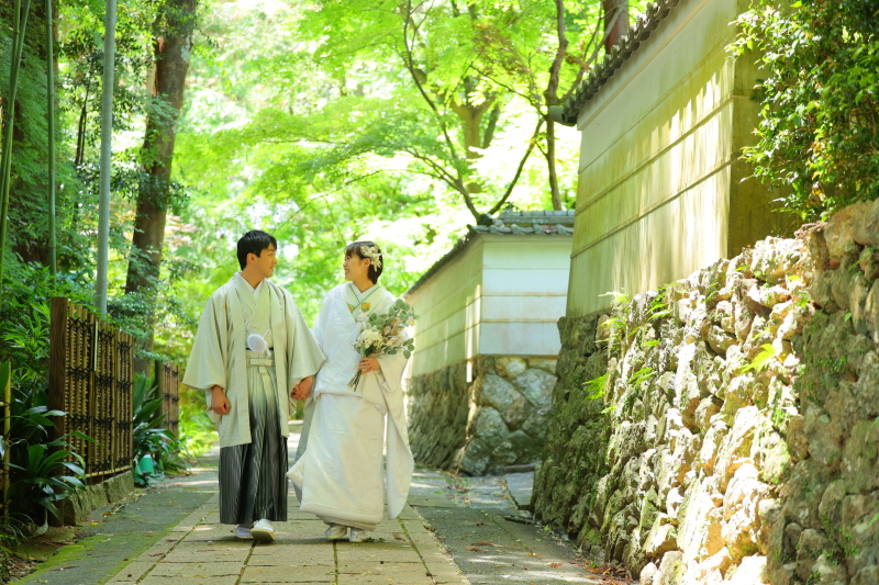 竹林の道