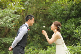 緑いっぱい！ナチュラルグリーンフォト