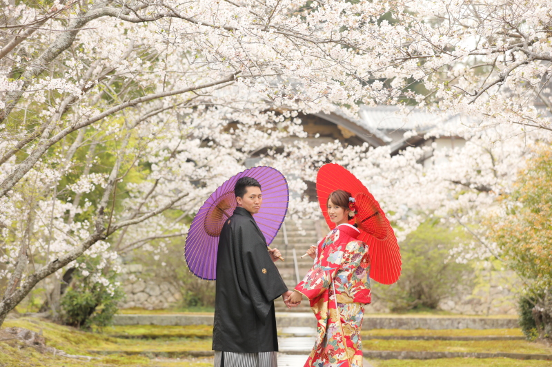 「安寧寺」は当店から15分の桜スポット