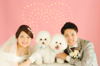 ホワイトベル浜松