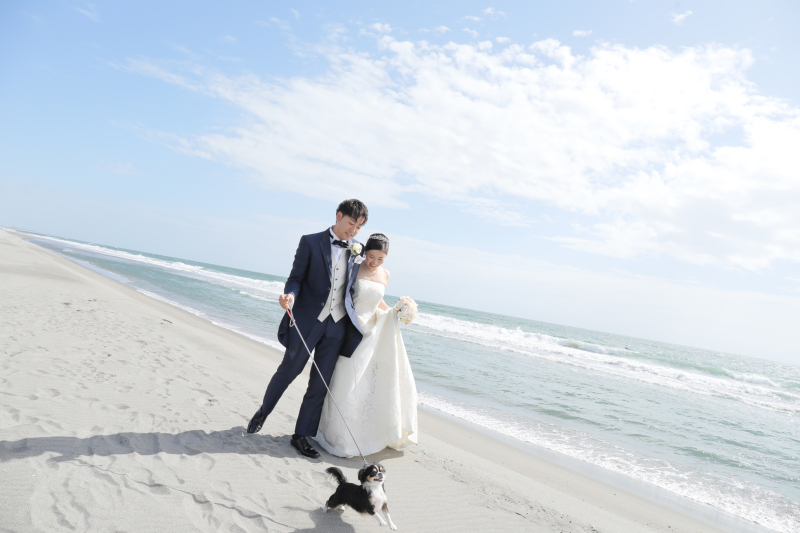 ホワイトベル浜松_ペットと一緒に撮影できる