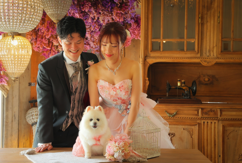 Point1 多彩な撮影シーン