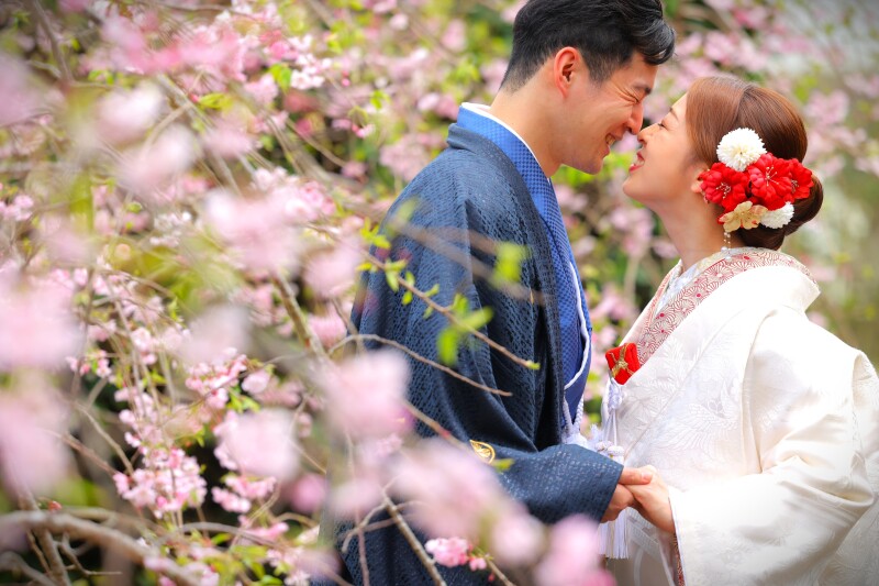 Point1 多彩な撮影シーン