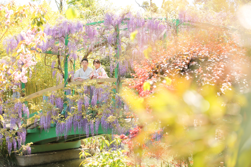 ホワイトベル浜松_色打掛・着物が豊富