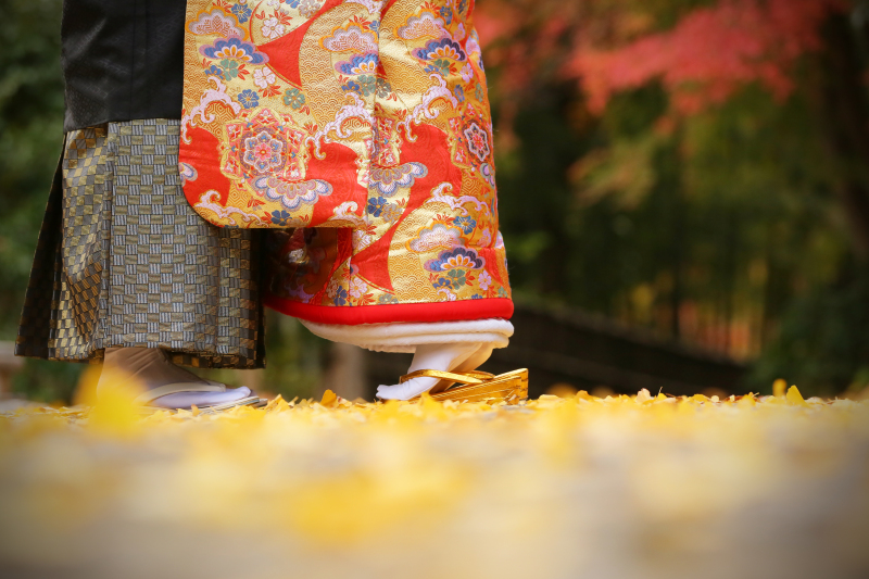 和装ロケーション【全200データ即日渡し!浜松城公園撮影】