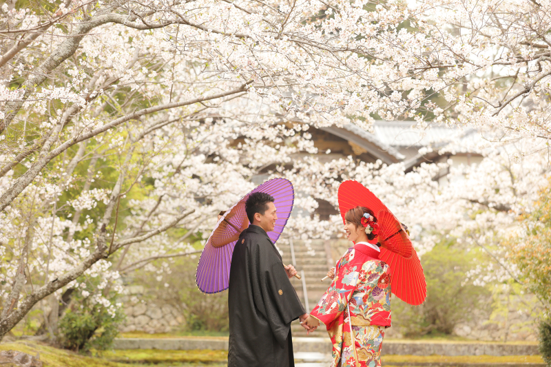 和装ロケーション【全200データ即日渡し!桜の安寧寺撮影】