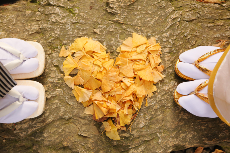 和装ロケーション【全200データ即日渡し!浜松城公園撮影】