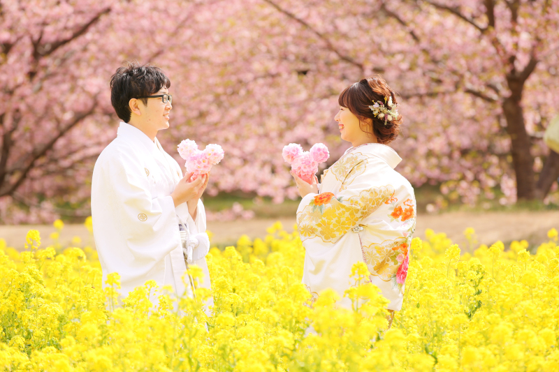 和装ロケーション【全200データ即日渡し!東大山河津桜&菜の花】