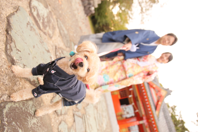 和装ロケーション【全200データ即日渡し!愛犬愛猫と一緒に幸福の参道で】