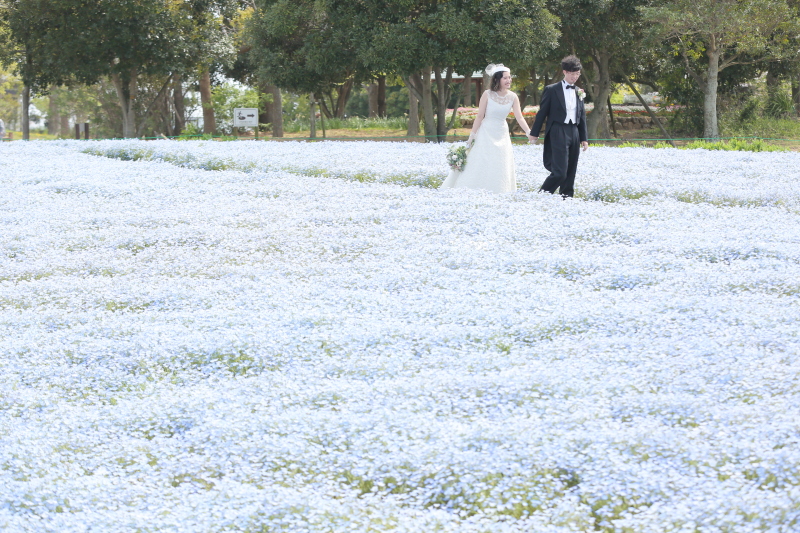 洋装ロケーション【全200データ即日渡し!】