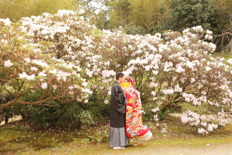 和装ロケーション【全200データ即日渡し!桜の安寧寺撮影】