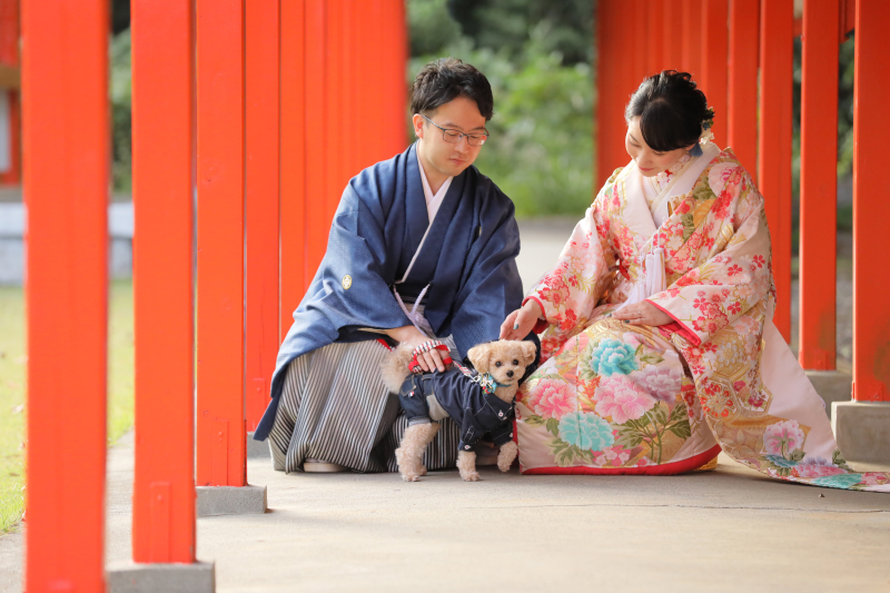 和装ロケーション【全200データ即日渡し!愛犬愛猫と一緒に幸福の参道で】