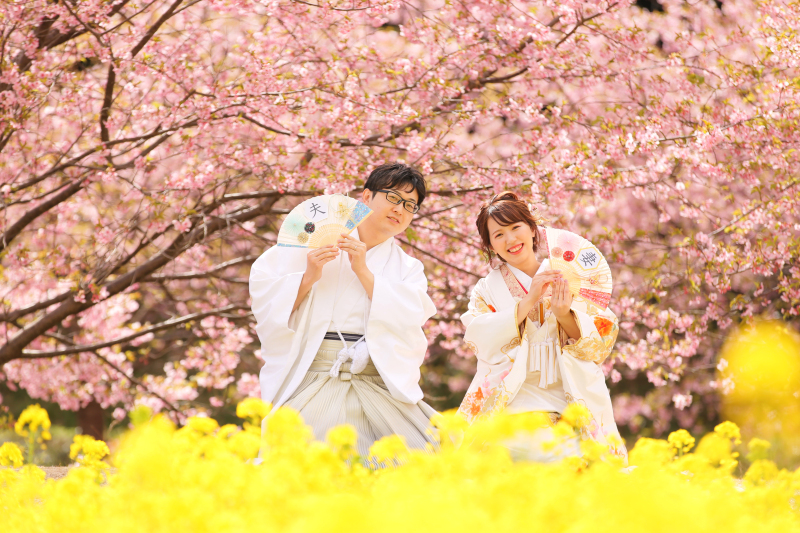 和装ロケーション【全200データ即日渡し!東大山河津桜&菜の花】