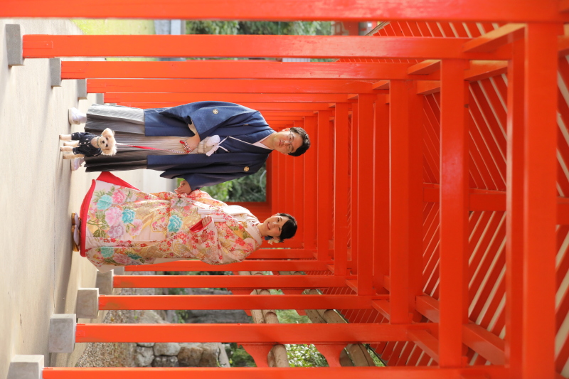 和装ロケーション【全200データ即日渡し!愛犬愛猫と一緒に幸福の参道で】