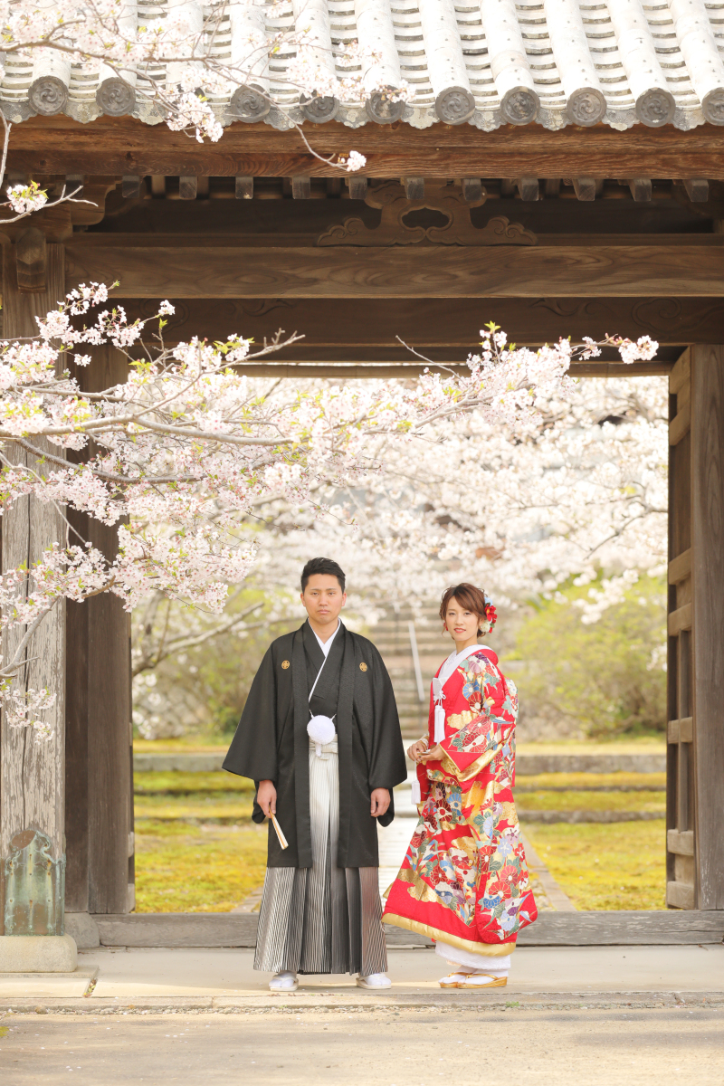 和装ロケーション【全200データ即日渡し!桜の安寧寺撮影】