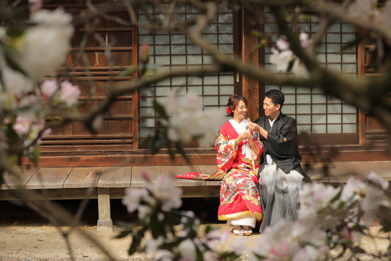 和装ロケーション【全200データ即日渡し!桜の安寧寺撮影】